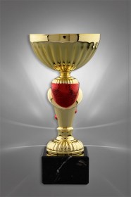 Cupe Sportive CE 14